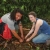Two students planting a tree in Costa Rica