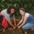 Two students planting a tree in Costa Rica